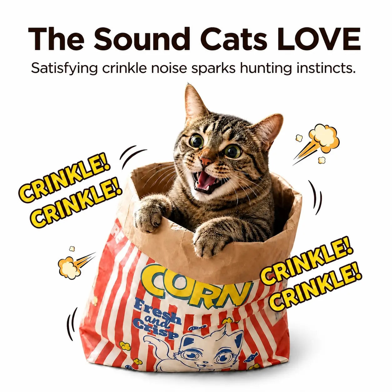 Premium Cat Toy: (29.53 x 13.78 Inches) - Interactive Play Tunnel and Relaxation Bed for Kittens and Adult Cats