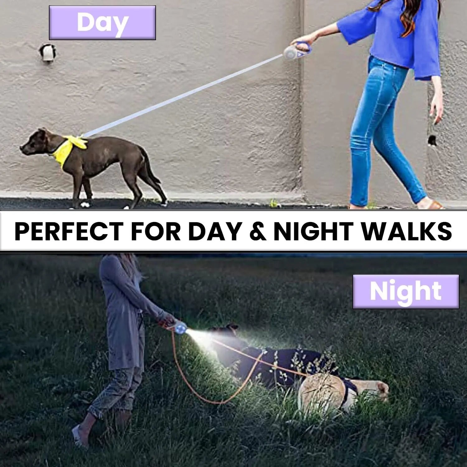 Pawzseek LED Retractable Safety Dog Leash for Small to Medium Dogs, Automatic Extendable Design for Pets up to 110 lbs