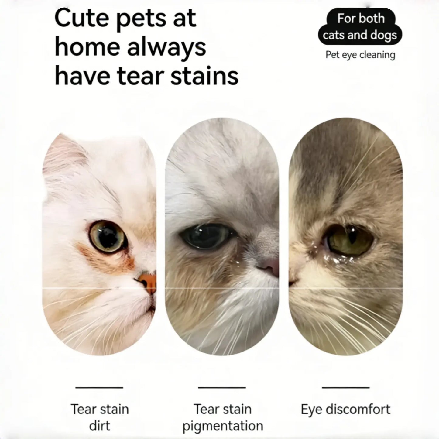 4PCS Pet Groomer Tools Shedding Grooming Kit 